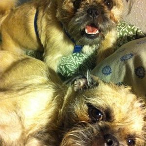 Meet your Posher, Kate